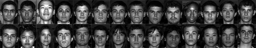yüz tanıma yüz veritabanı
